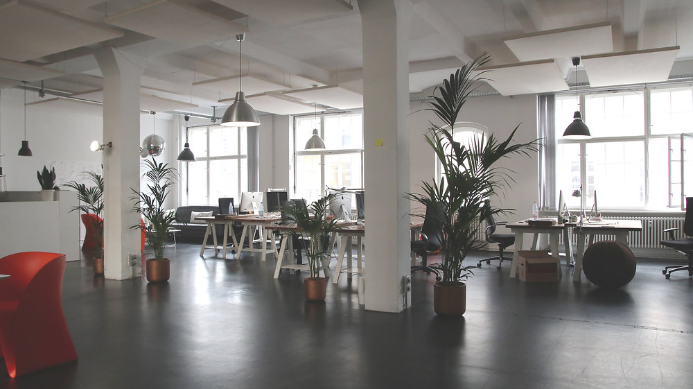 Bright open-plan office with desks and potted plants.