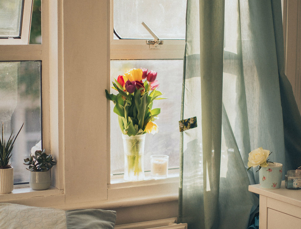 Sunlight through a window with tulips on the sill.